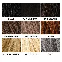 ecobell-color-chart-1200x1200.webp
